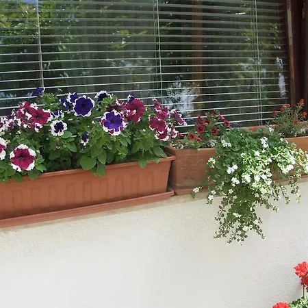 Apartamento Vesna Zadar