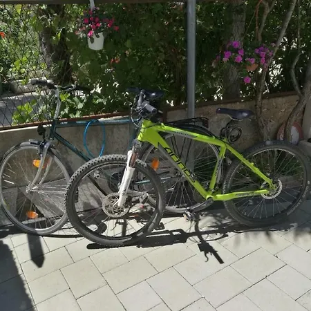 Vesna Apartamento Zadar