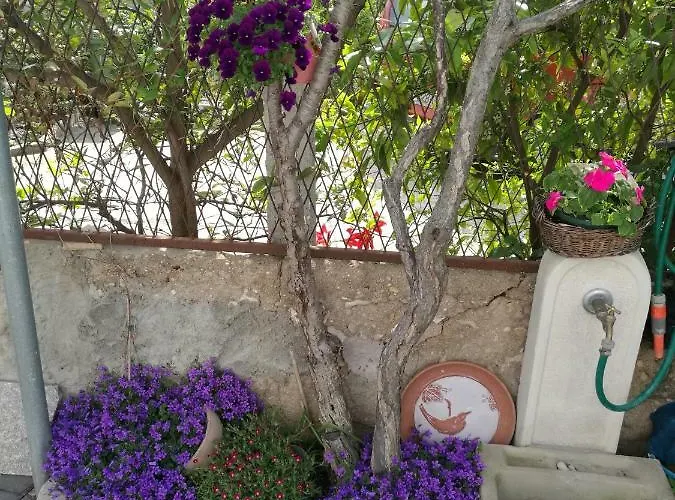 דירה Vesna זאדאר