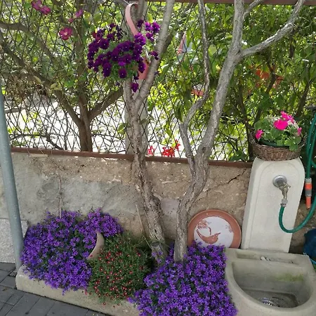 Appartamento Vesna Zara