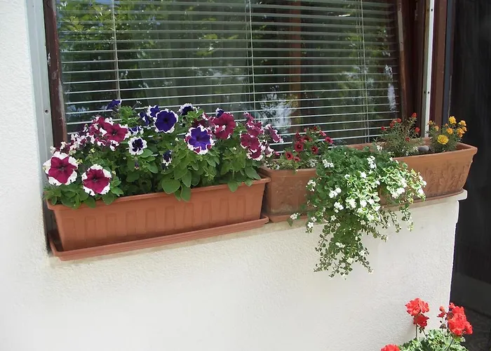 Apartamento Vesna Zadar